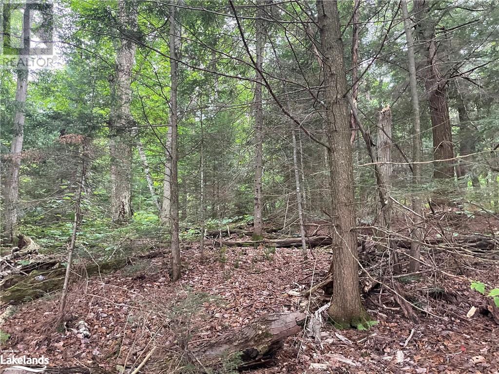 For sale 0 ISLAND LAKE, Kearney, Ontario P0A1M0 40588117 REALTOR.ca