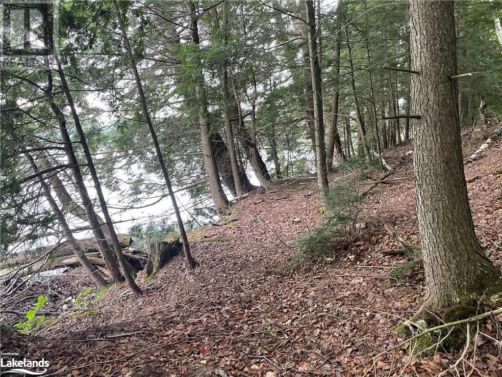 For sale 0 ISLAND LAKE, Kearney, Ontario P0A1M0 40588117 REALTOR.ca