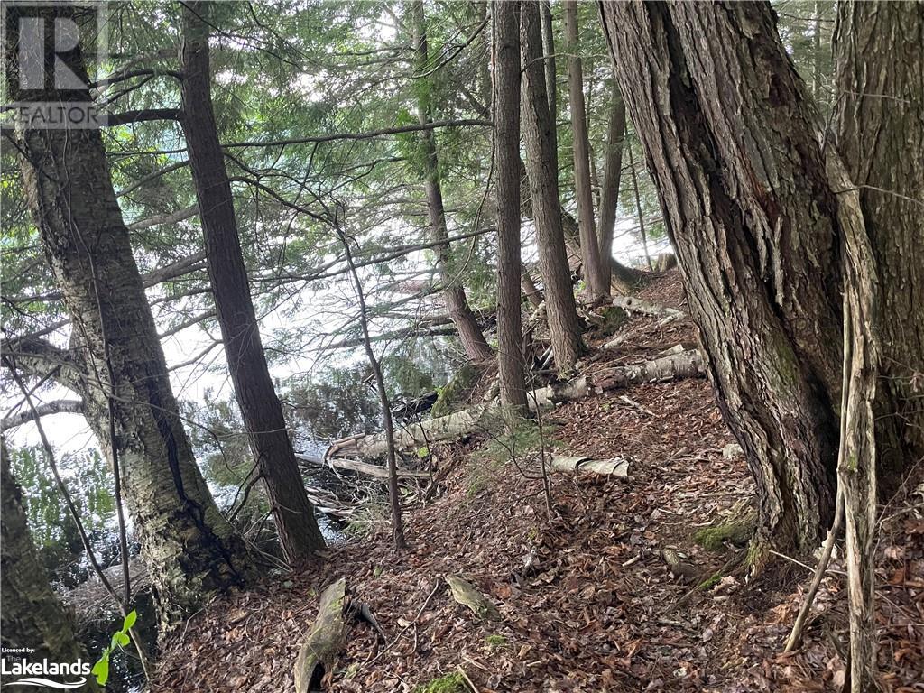 For sale 0 ISLAND LAKE, Kearney, Ontario P0A1M0 40588117 REALTOR.ca