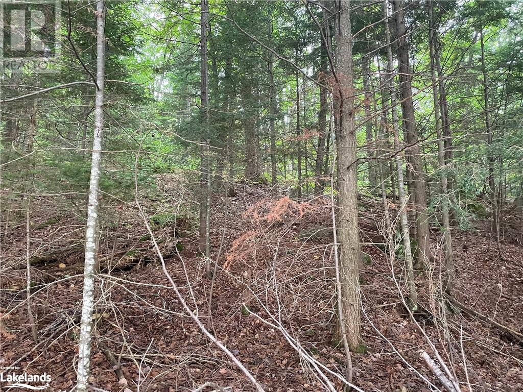 For sale 0 ISLAND LAKE, Kearney, Ontario P0A1M0 40588117 REALTOR.ca