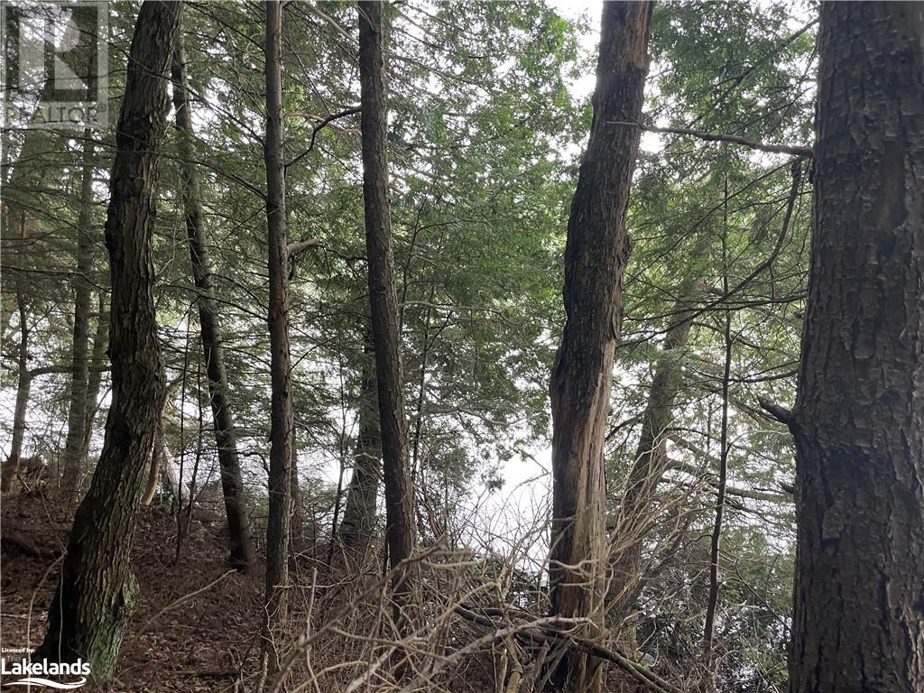 For sale 0 ISLAND LAKE, Kearney, Ontario P0A1M0 40588117 REALTOR.ca