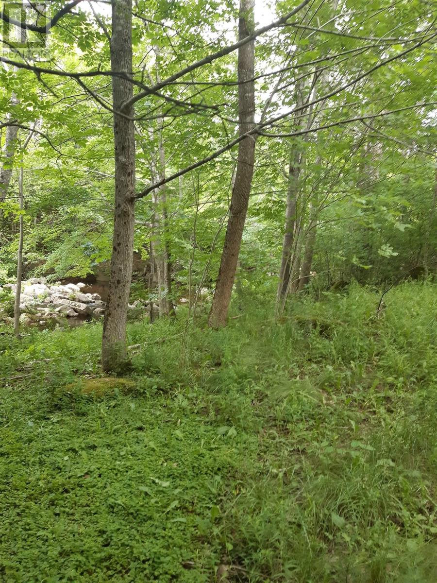 For sale Lot Clementsvale Road, Lequille, Nova Scotia B0S1A0