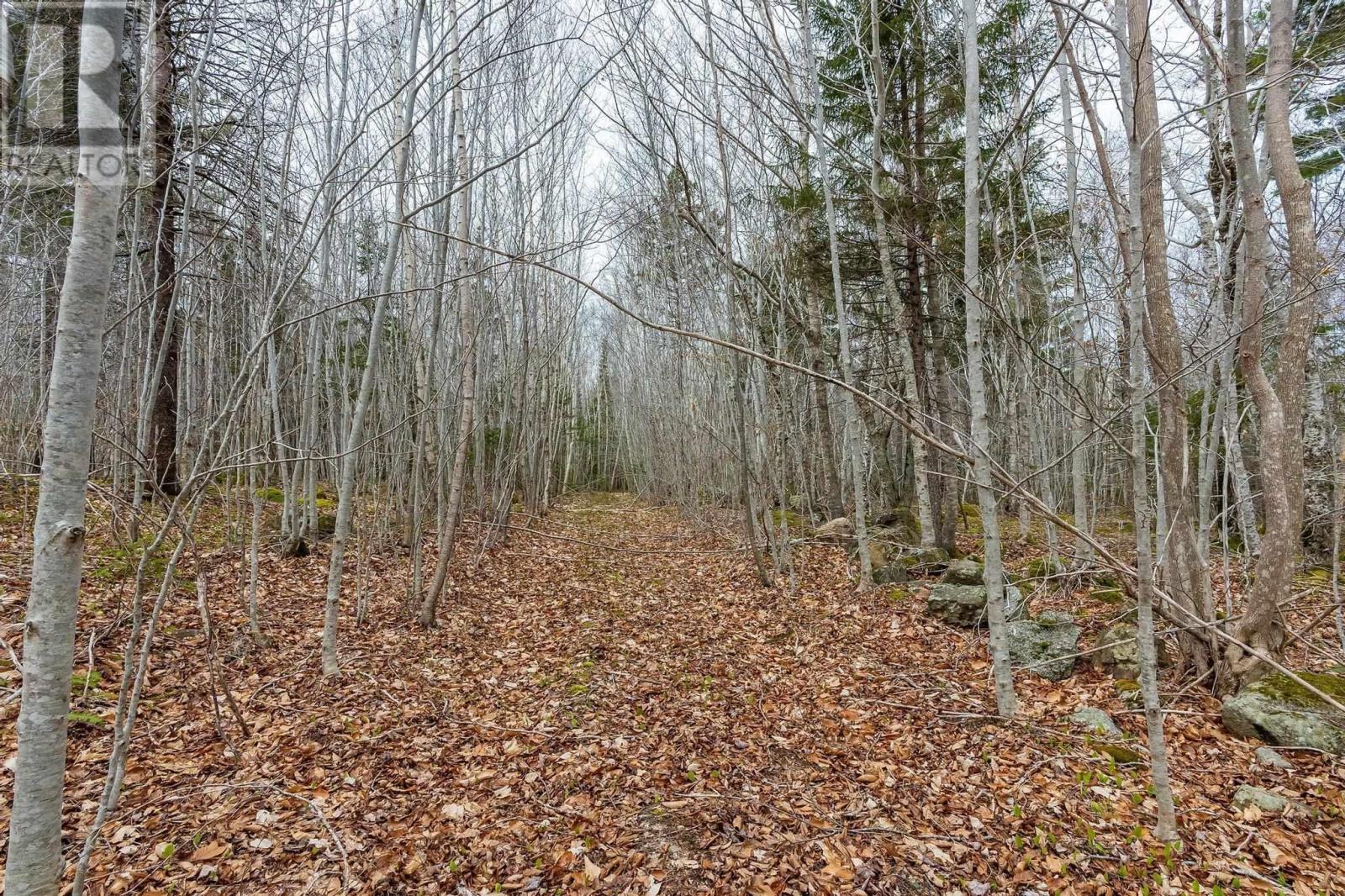For sale Lot Highway 8, Graywood, Nova Scotia B0S1A0 202409479