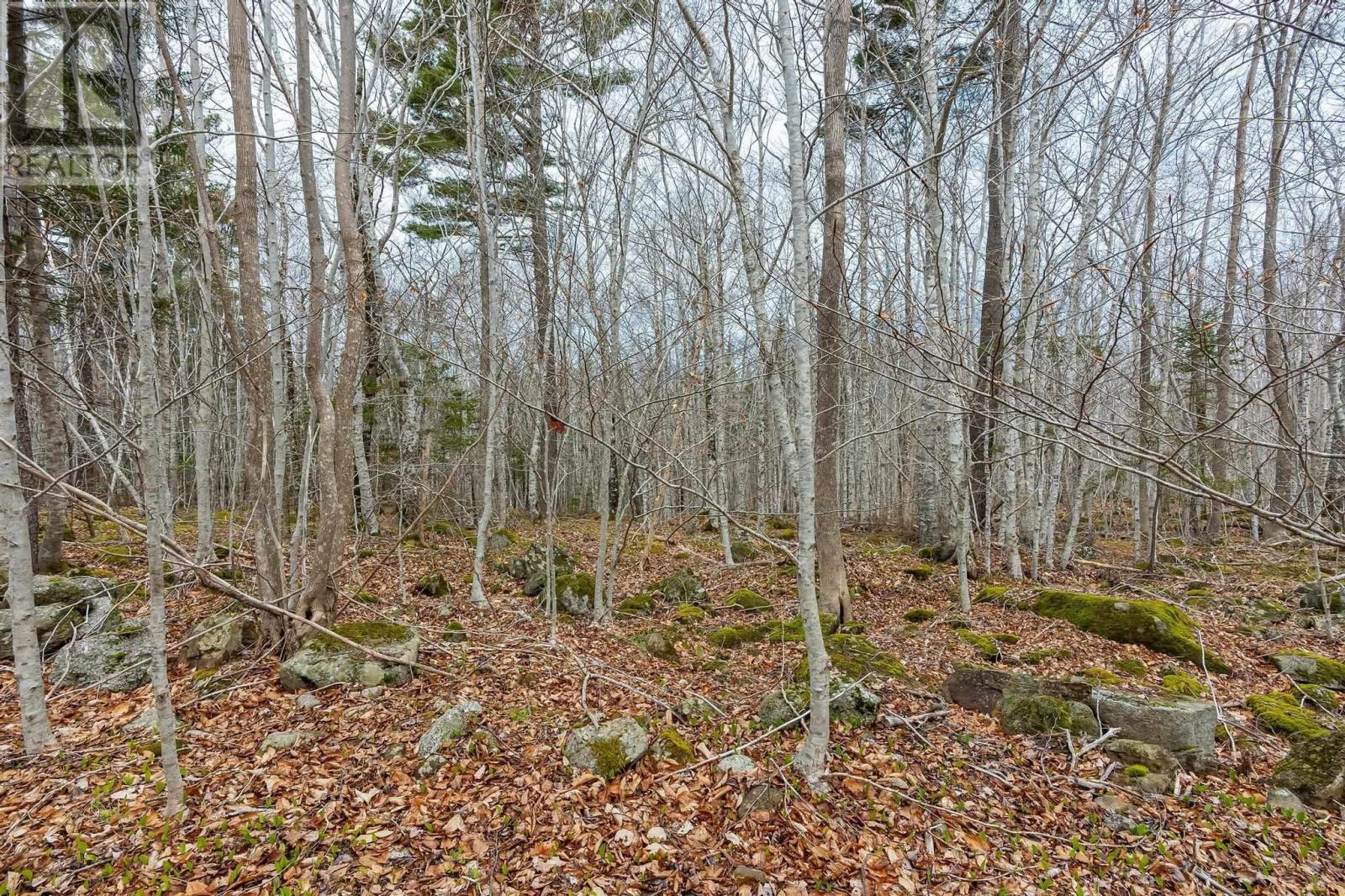 For sale Lot Highway 8, Graywood, Nova Scotia B0S1A0 202409479