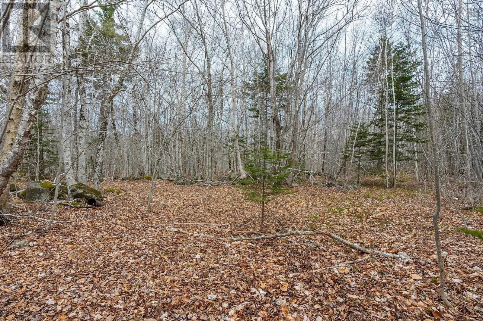 For sale Lot Highway 8, Graywood, Nova Scotia B0S1A0 202409479