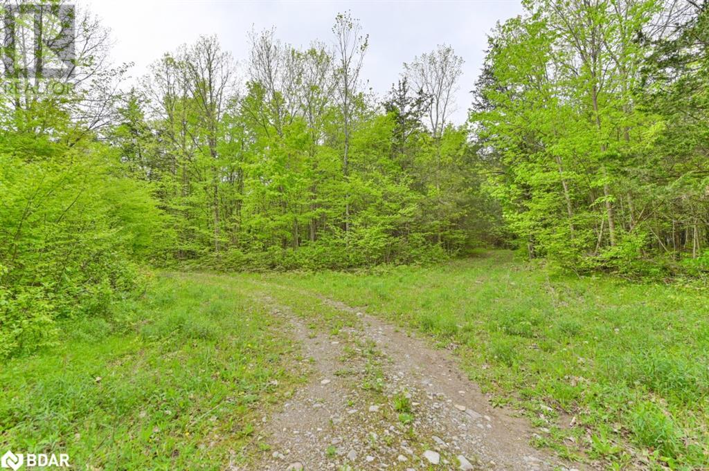 For sale 452B COLD WATER Road, Marlbank, Ontario K0K2L0 40590928