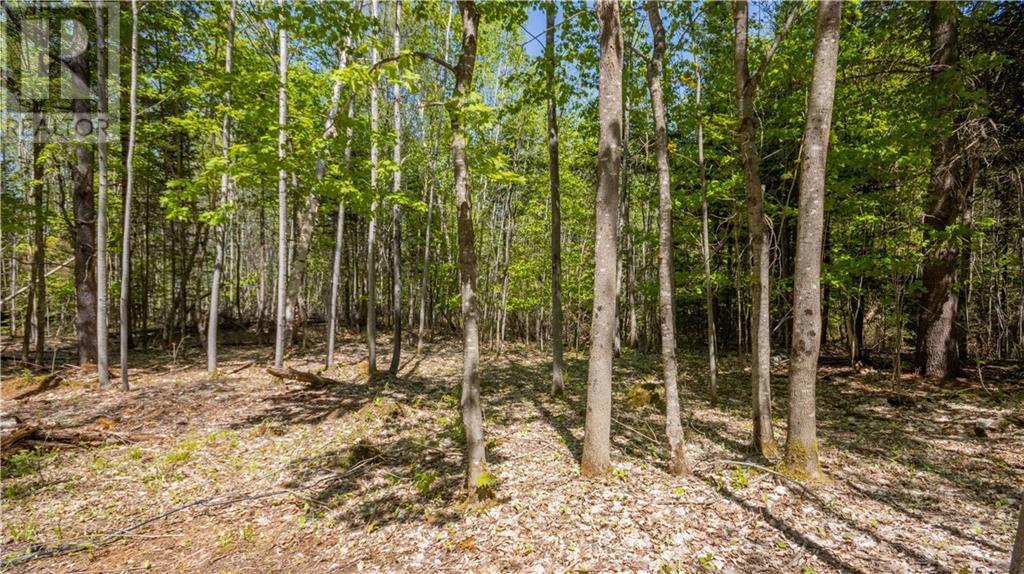 For sale 38986A COMBERMERE ROAD, Combermere, Ontario K0J1L0 1392653