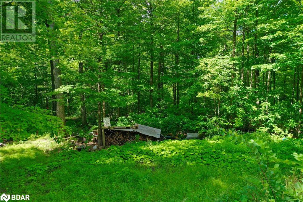 For sale 1936 HIGHWAY 11, OroMedonte, Ontario L0L2L0 40527609 REALTOR.ca