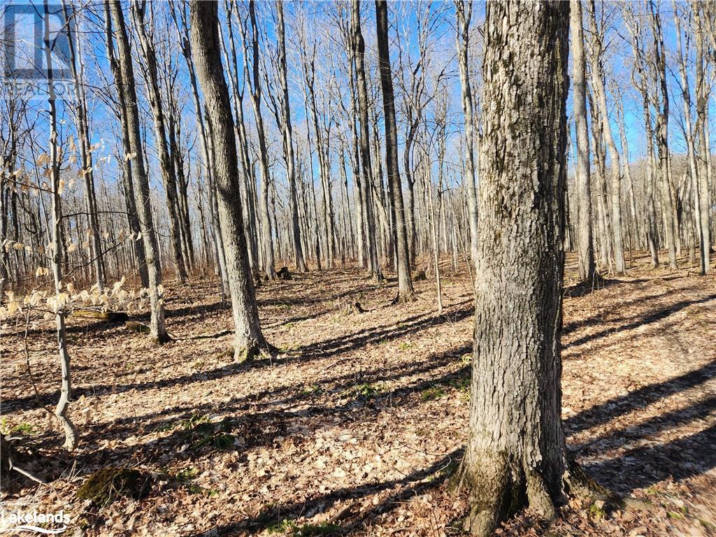 For sale 409481 GREY 4 Road W, Singhampton, Ontario N0C1M0 40550947