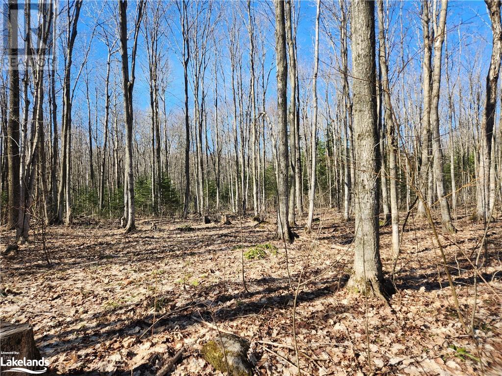 For sale 409481 GREY 4 Road W, Singhampton, Ontario N0C1M0 40550947