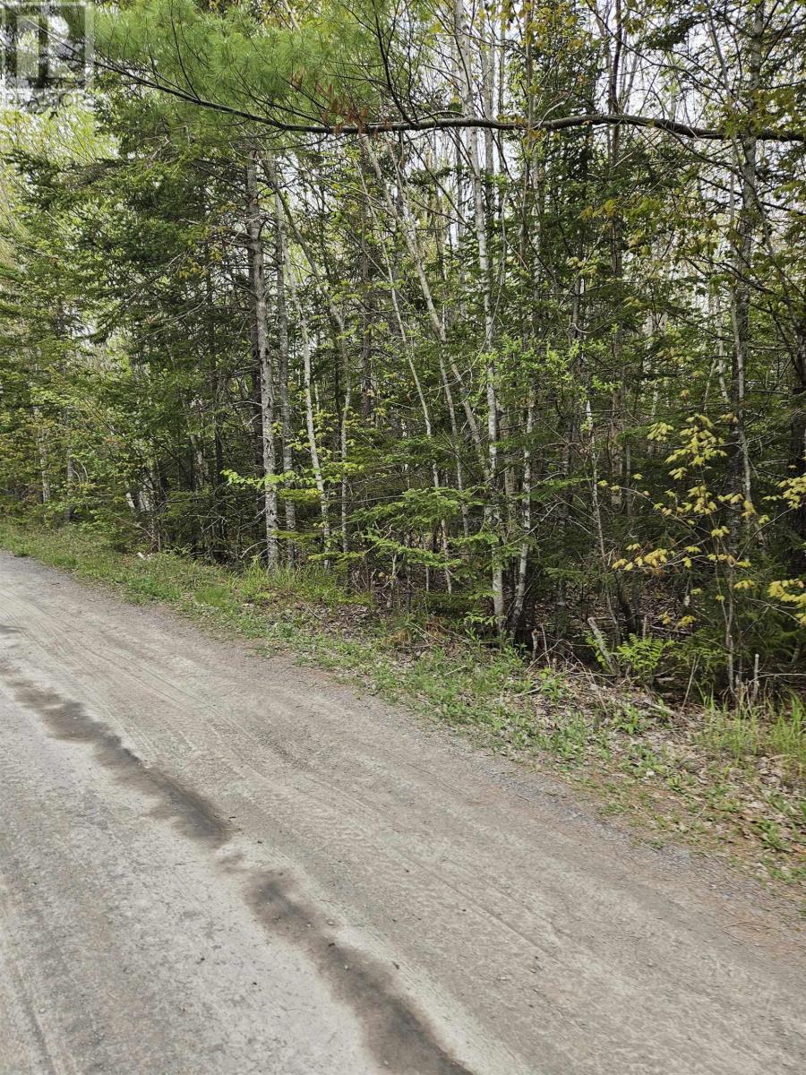For sale Lot A17 Birchwood Trail, Cheverie, Nova Scotia B0N2A0