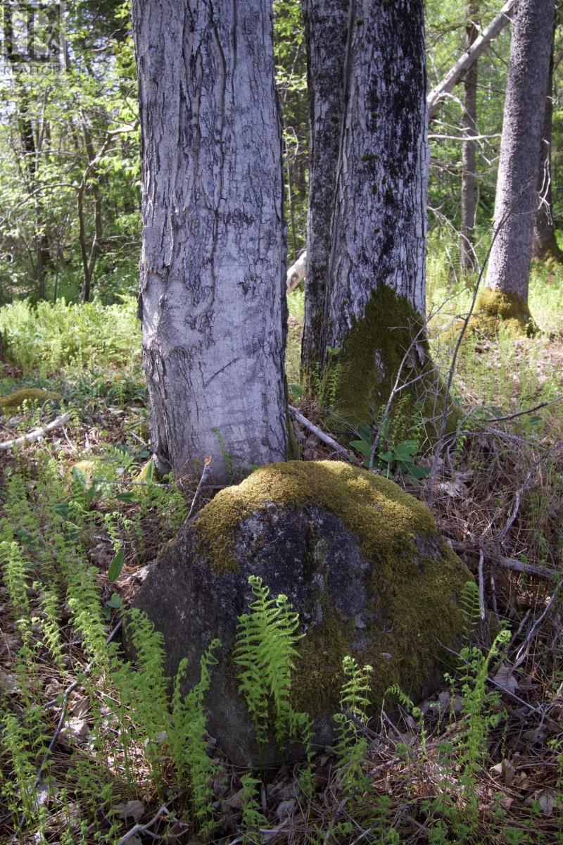 For sale 238 Waldeck Line Road, Deep Brook, Nova Scotia B0S1J0 202403262 REALTOR.ca