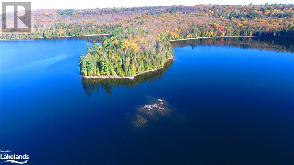 For sale 11045 GRACE LAKE NORTH SHORE, Wilberforce, Ontario K0L3C0