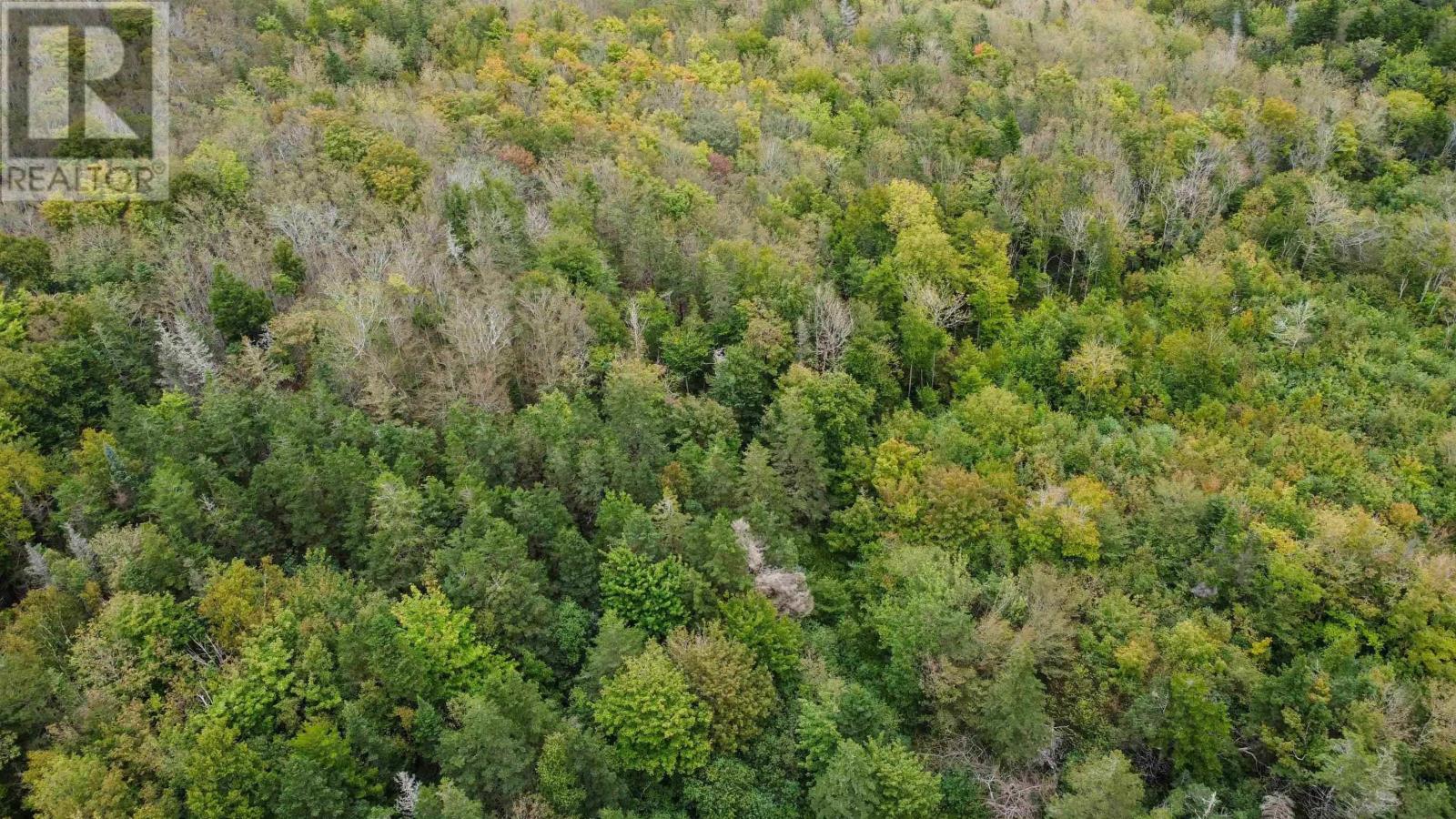 For sale Culloden Road, Mount Pleasant, Nova Scotia B0V1A0 202323255