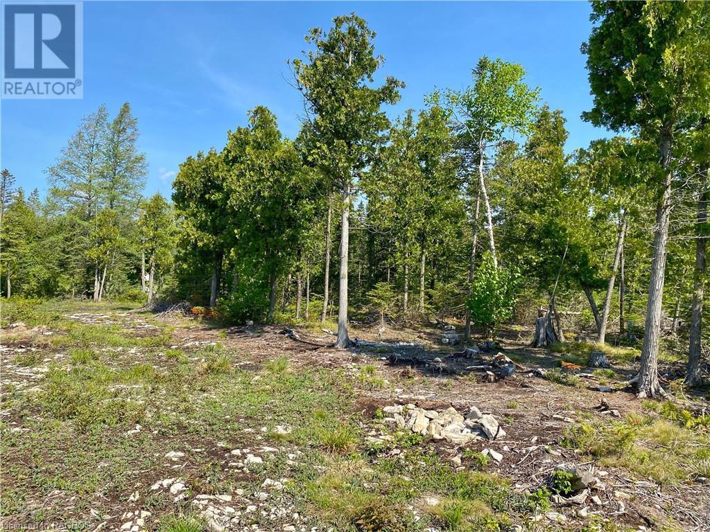 For sale 155 BRADLEY Drive, Miller Lake, Ontario N0H1Z0 40586207