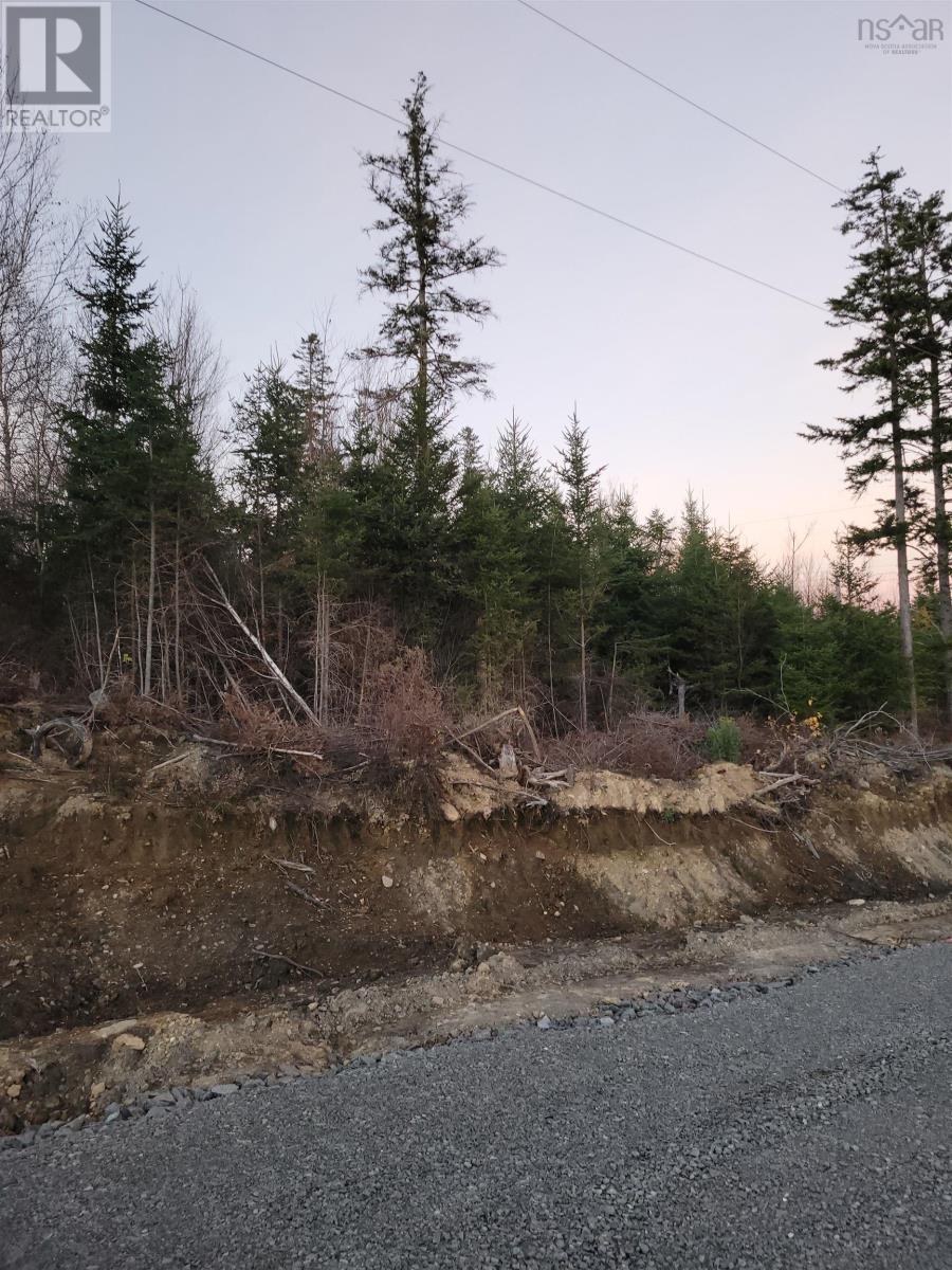For sale Lot T35 Elliott Road, South Rawdon, Nova Scotia B0N1Z0 202407811 REALTOR.ca