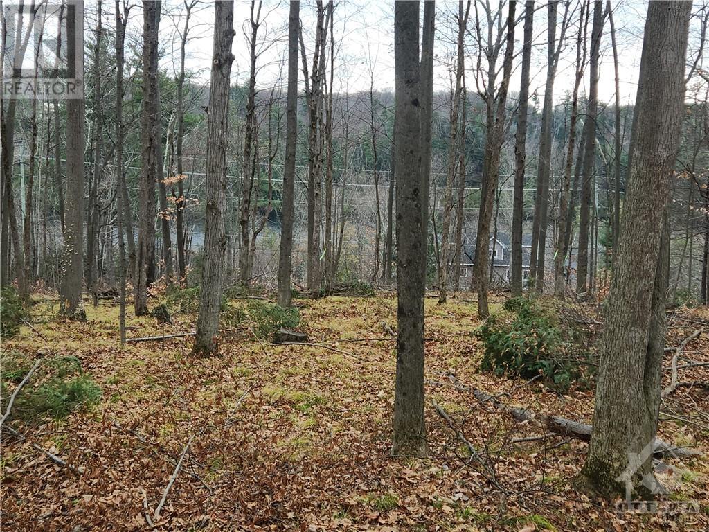 For sale 00 CALABOGIE ROAD, Burnstown, Ontario K0A1G0 1393577
