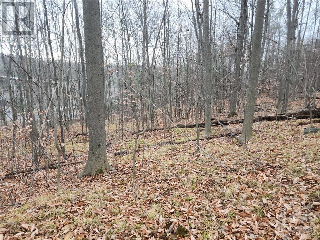 For sale 00 CALABOGIE ROAD, Burnstown, Ontario K0A1G0 1393577