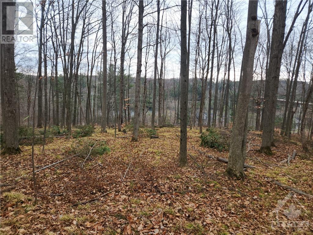 For sale 00 CALABOGIE ROAD, Burnstown, Ontario K0A1G0 1393577