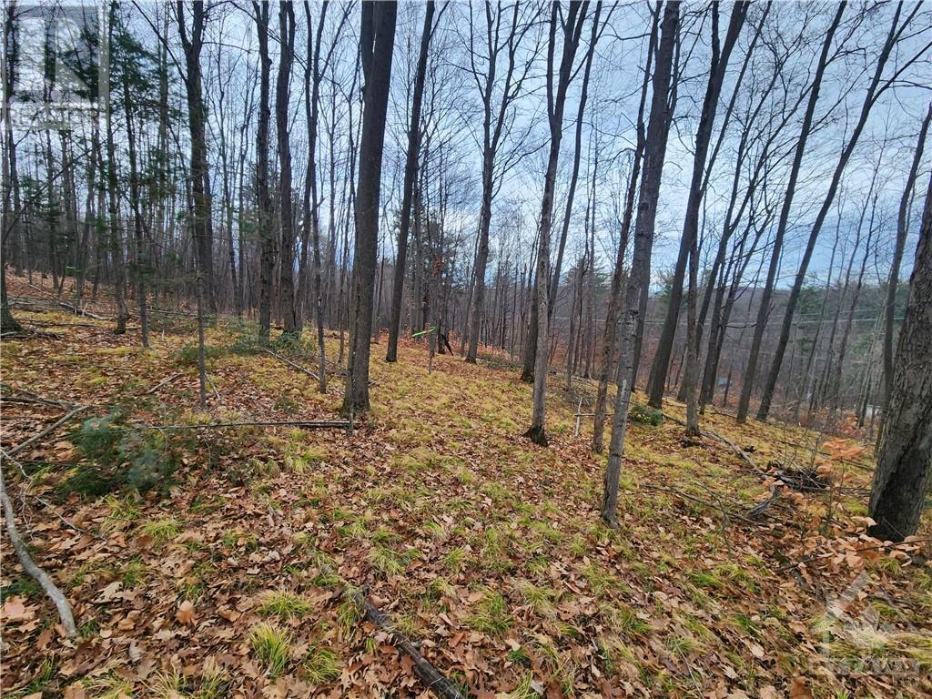 For sale 00 CALABOGIE ROAD, Burnstown, Ontario K0A1G0 1393577