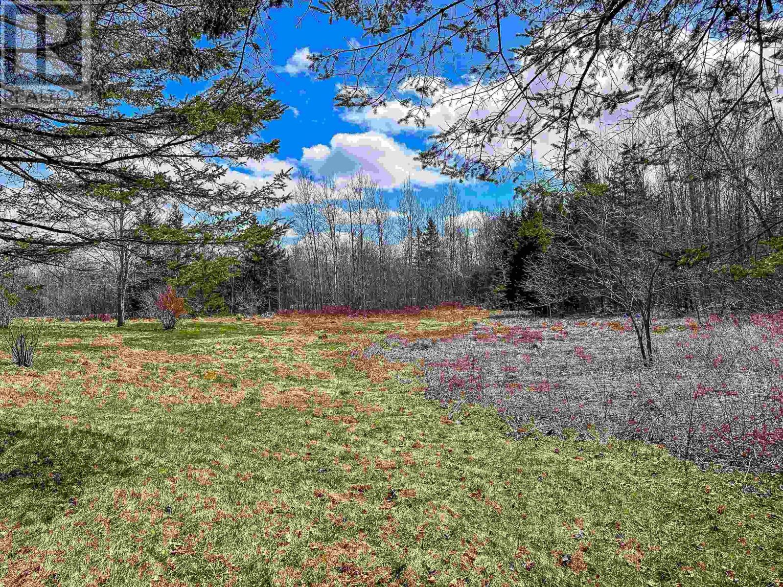 485 West Halls Harbour Road, Halls Harbour, Nova Scotia B0P1J0 REALTOR.ca