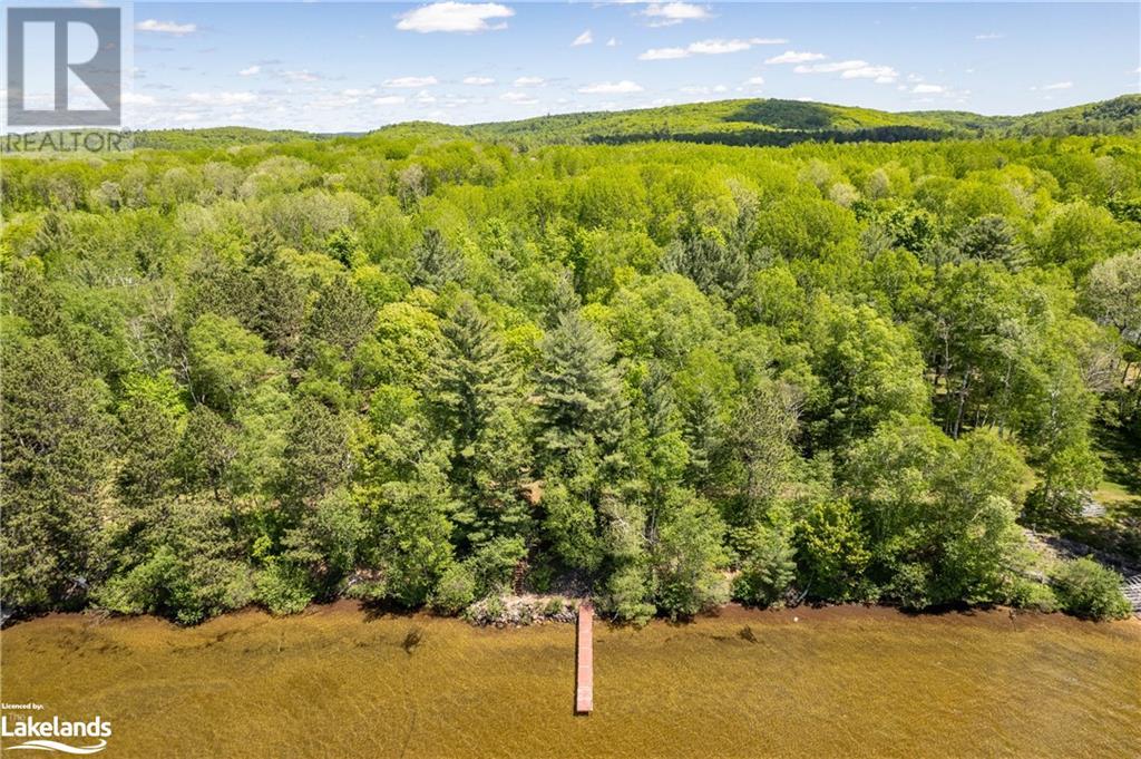 For sale 1174 SEABREEZE Road, Dwight, Ontario P0A1H0 40593232