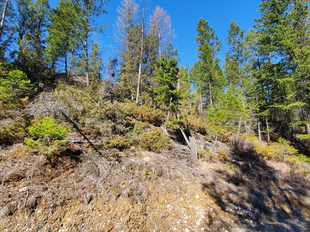 For sale Lot 1 KOOTENAY RD NO 3 ROAD, Windermere, British Columbia