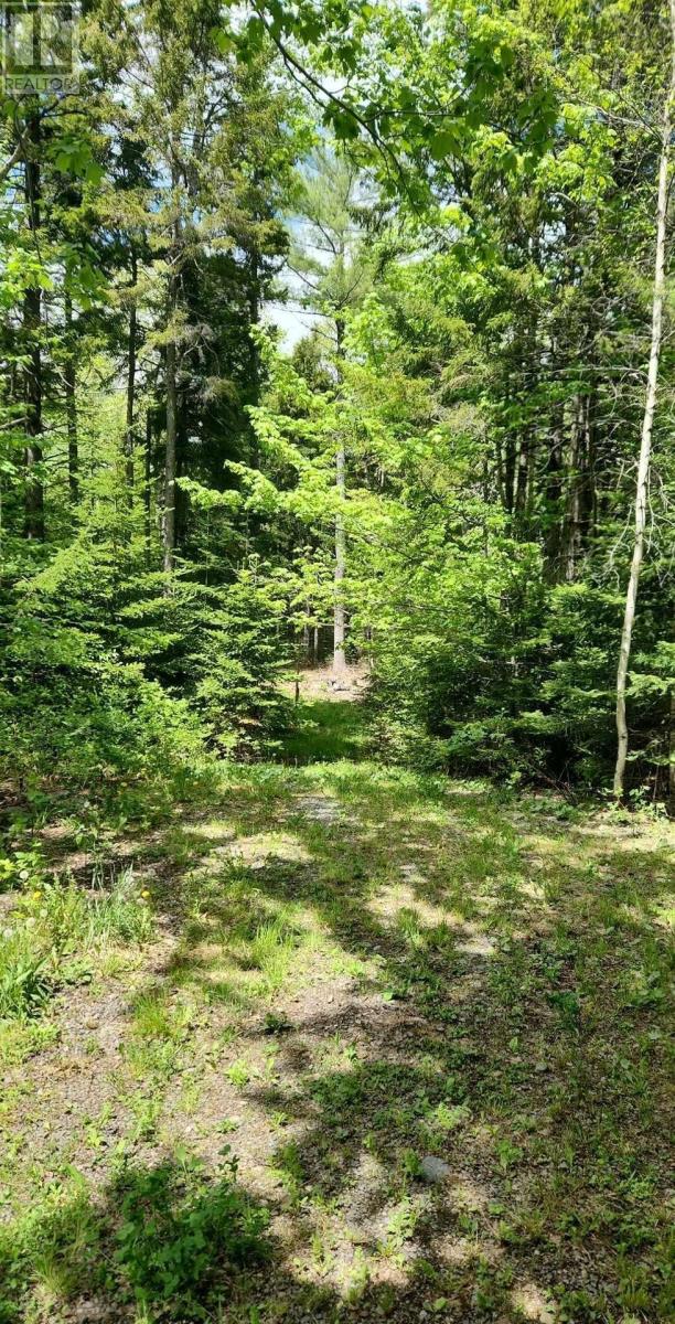 For sale LOT 793 Barr Settlement Road, East Gore, Nova Scotia B2S3B8