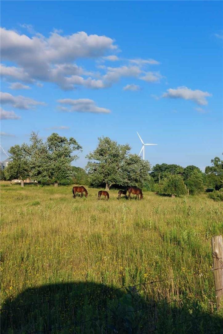 For sale 924 CONCESSION 2 WALPOLE Road, Nanticoke, Ontario N0A1L0