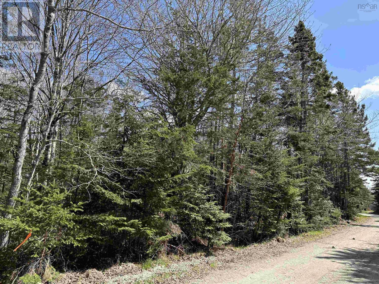 For sale Lot 123 Lewis Road, Lydgate, Nova Scotia B0T1L0 202308850