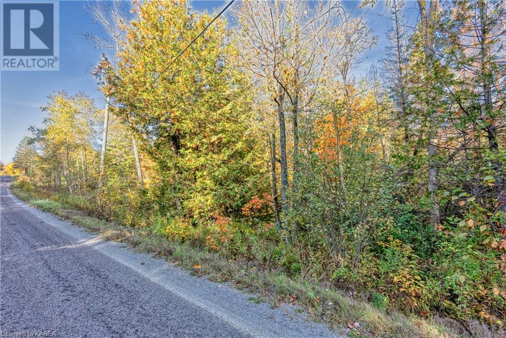 For sale PT LT 27 CON 8 S LAVANT Road, Ompah, Ontario K0H2J0 40585023 REALTOR.ca