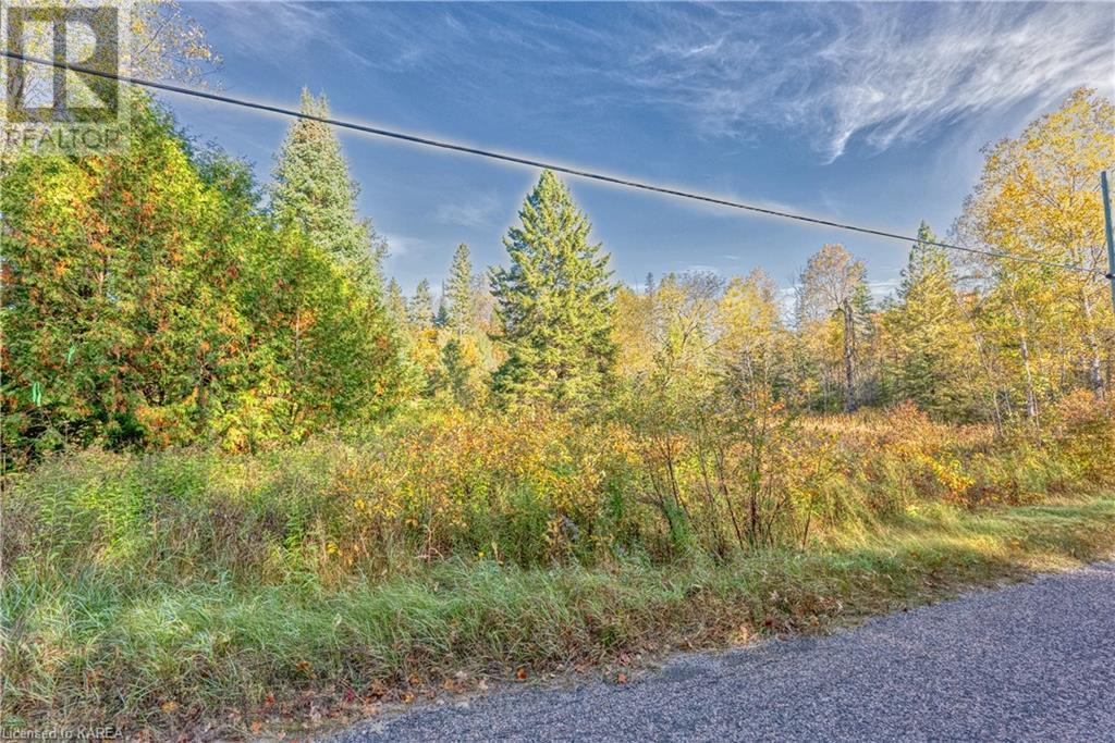 For sale PT LT 27 CON 8 S LAVANT Road, Ompah, Ontario K0H2J0