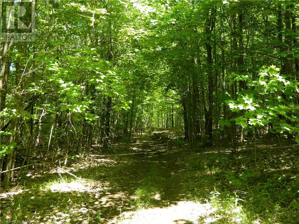 For sale PT LT 27 CON 8 S LAVANT Road, Ompah, Ontario K0H2J0