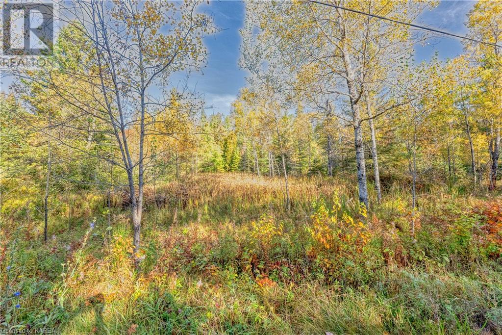 For sale PT LT 27 CON 8 S LAVANT Road, Ompah, Ontario K0H2J0