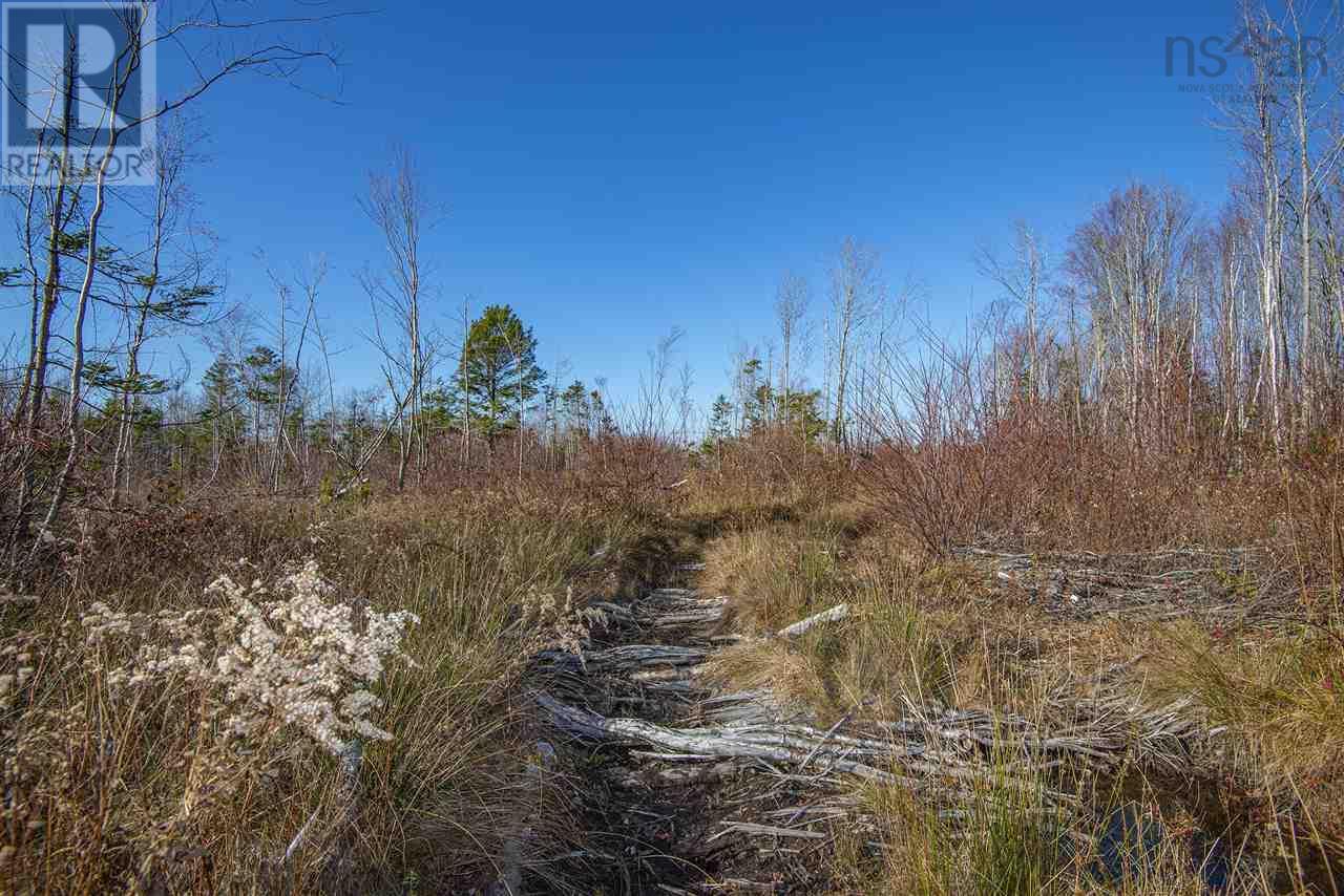 For sale Sissiboo Road, Weymouth Mills, Nova Scotia B0W3T0 202408423