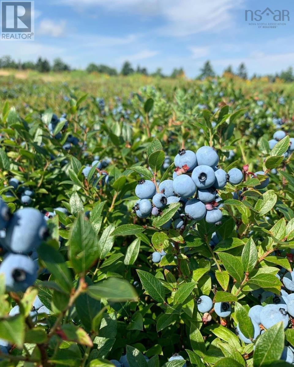 For sale Lot Highway 8, Harmony, Nova Scotia B0T1B0 202412641 REALTOR.ca