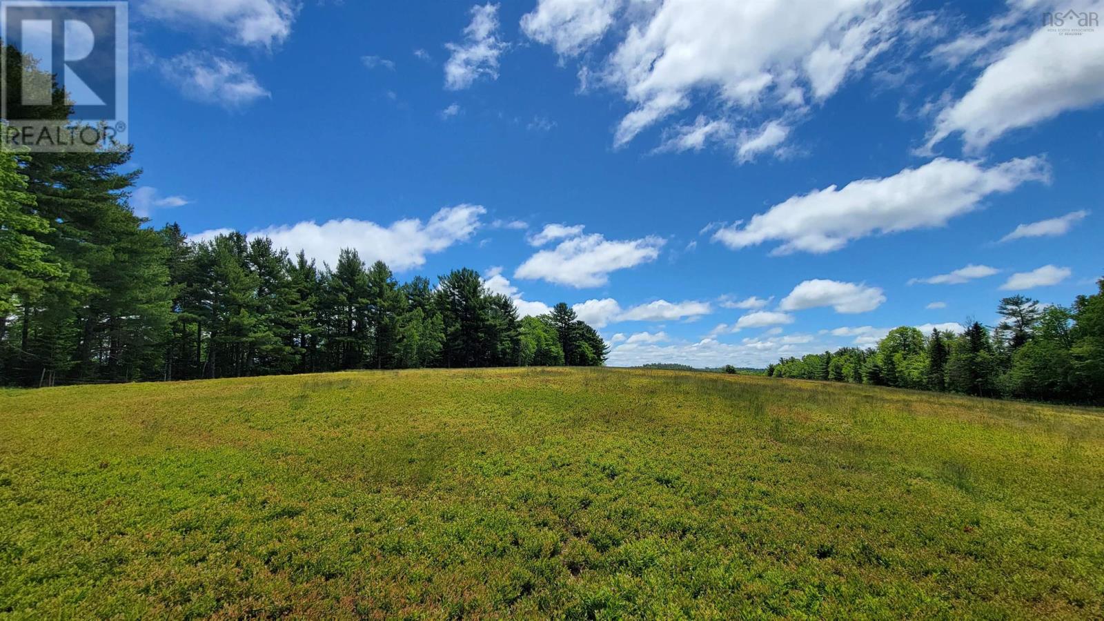 For sale Lot Highway 8, Harmony, Nova Scotia B0T1B0 202412641 REALTOR.ca