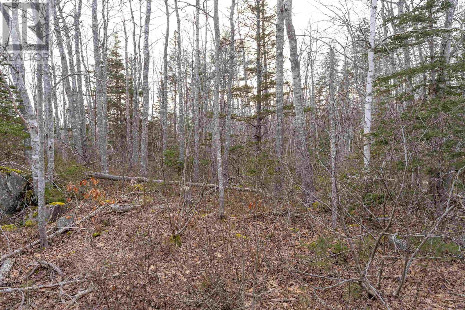 For sale 2 Port Medway road, Port Medway, Nova Road, Port Medway, Nova