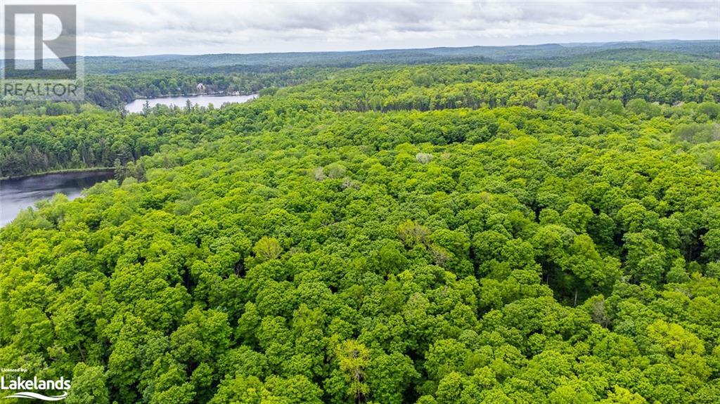 For sale 0 GRACE RIVER Road, Wilberforce, Ontario K0L3C0 40549856