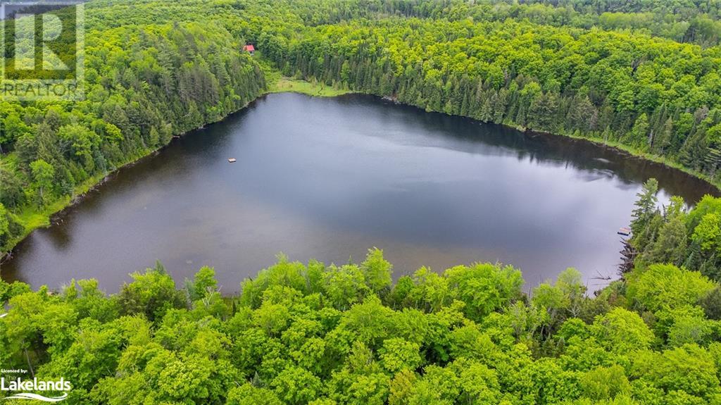 For sale 0 GRACE RIVER Road, Wilberforce, Ontario K0L3C0 40549856