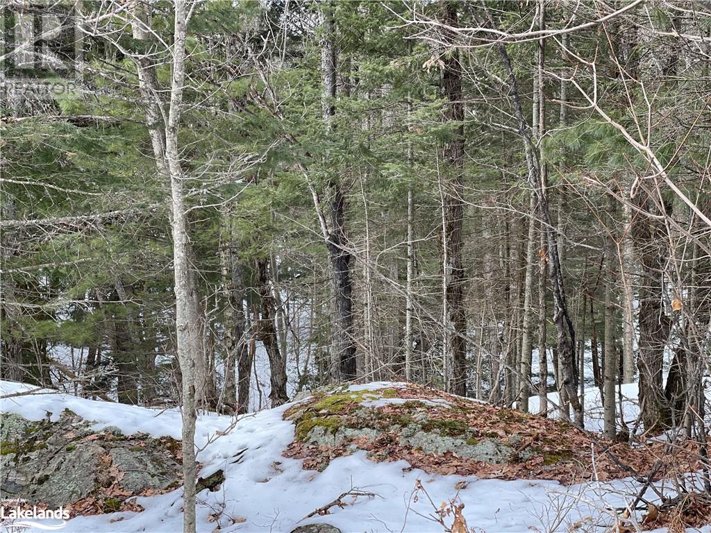 For sale 292B BIRCH POINT ROAD, Port Loring, Ontario P0H1A0 40552744