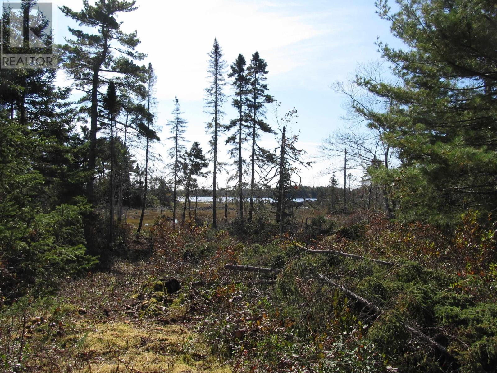 For sale Lot 123 Hwy 331, Mill Village, Nova Scotia B0J2H0