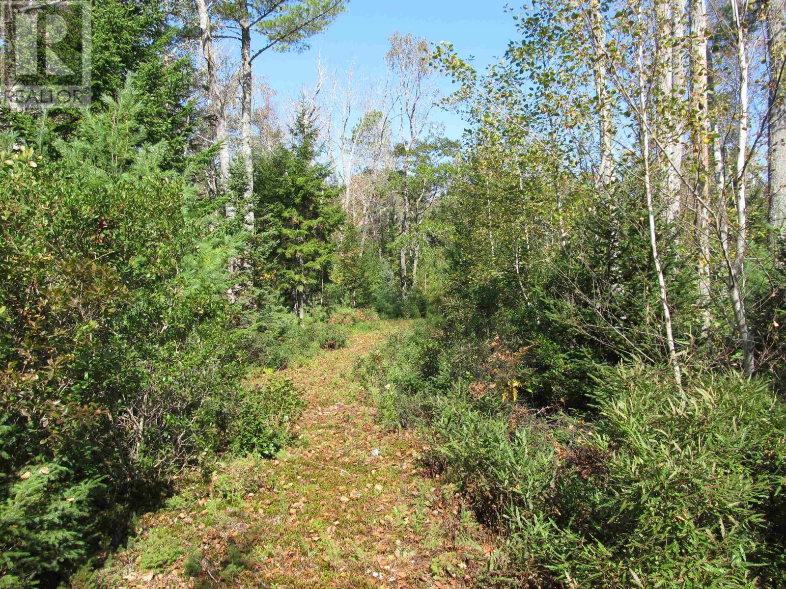 For sale Lot 123 Hwy 331, Mill Village, Nova Scotia B0J2H0