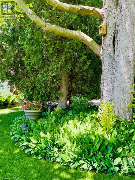 For sale 551 ATTAWANDARON Road, Point Clark, Ontario N2Z2X3 40590520