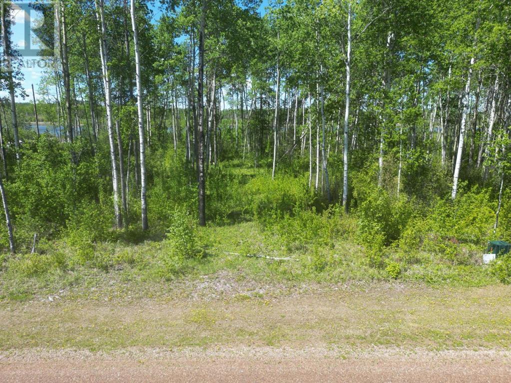 For sale: 13 Branch Lake, Loon Lake, Saskatchewan S0M1L0 - A2136864 ...