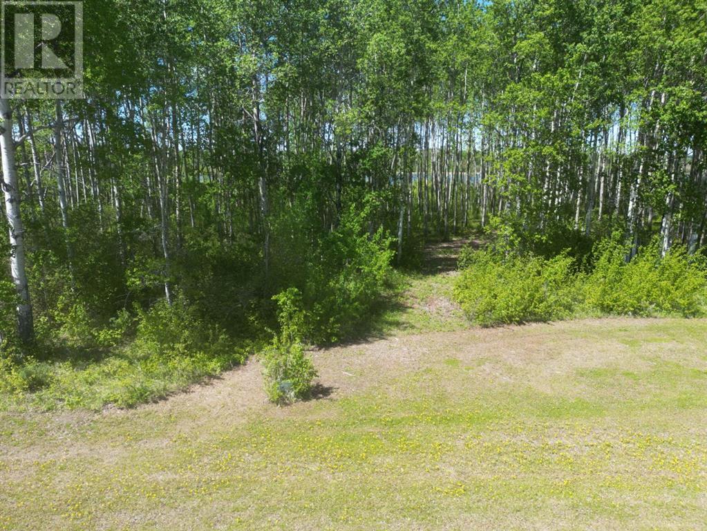 For sale: 15 Branch Lake, Loon Lake, Saskatchewan S0M1L0 - A2136868 ...