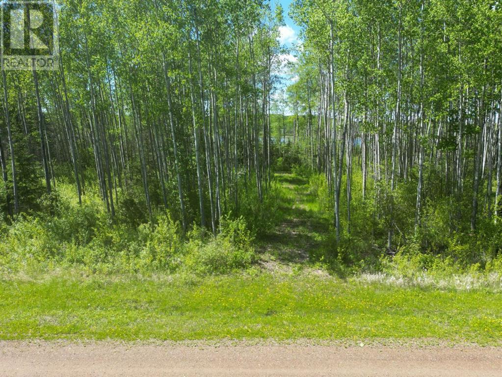 For sale: 5 Branch Lake, Loon Lake, Saskatchewan S0M1L0 - A2136849 ...