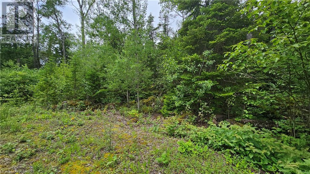 À vendre PT LT 35 HARDWICK COVE Road, Northern Bruce Peninsula