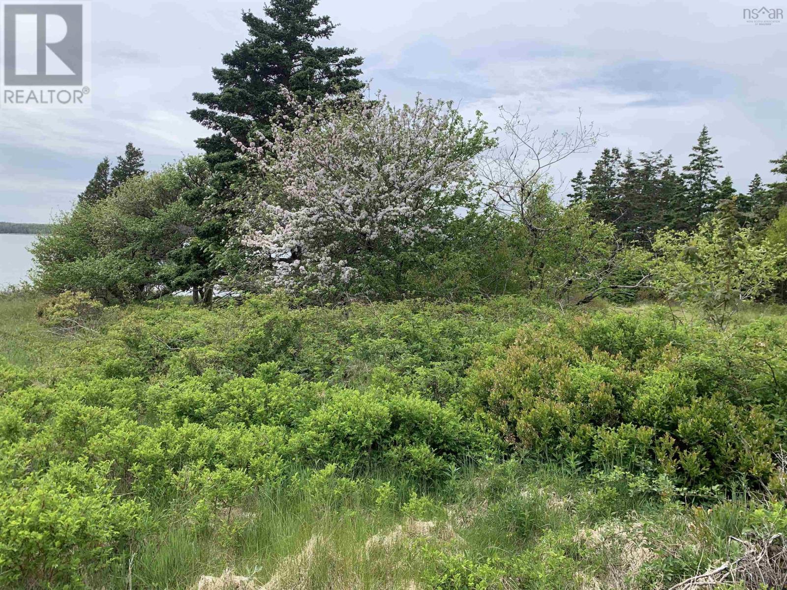 4 lots, Highway 334, Lower Wedgeport, Lower Wedgeport, Nova Scotia