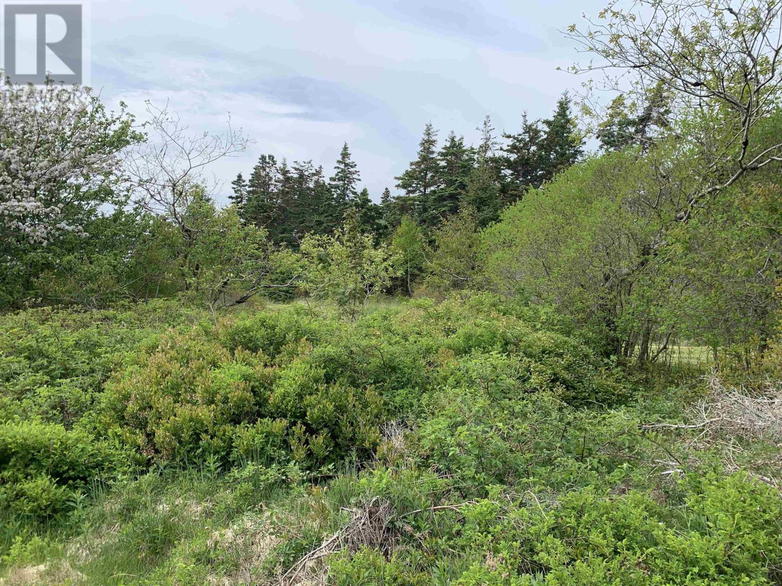 4 lots, Highway 334, Lower Wedgeport, Lower Wedgeport, Nova Scotia